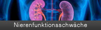schwerpunkte-1